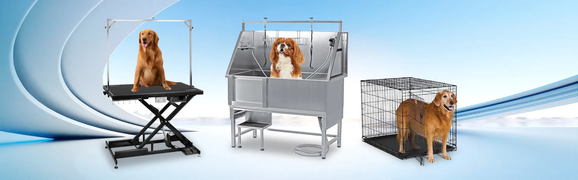 డౌన్‌లోడ్ చేయండి